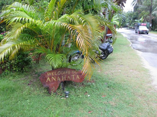 Outdoor Pictures 1