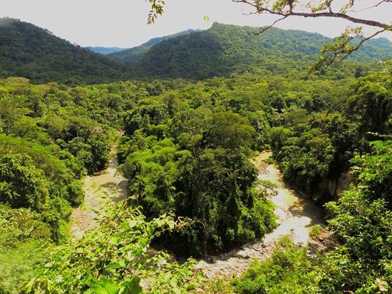 Amboró National Park
