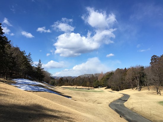 Adonis Ogawa Country Club