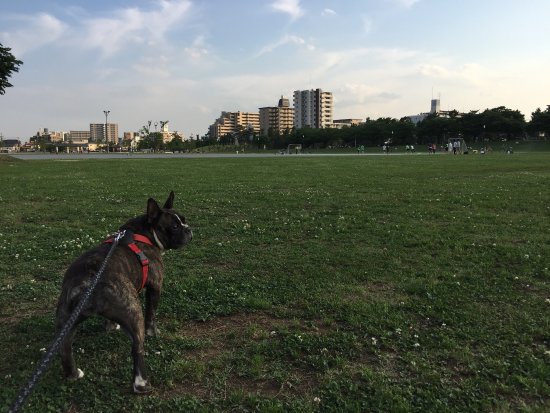 Ayase Riverside Park