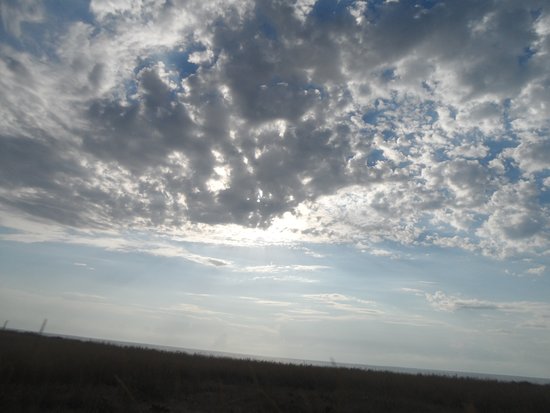Azov-Sivash National Park