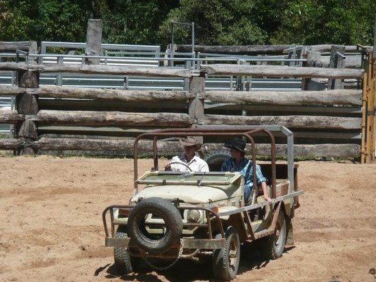 Australian Muster Experience