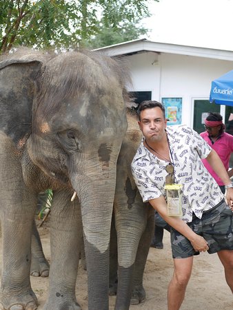 Elephant Care Samui