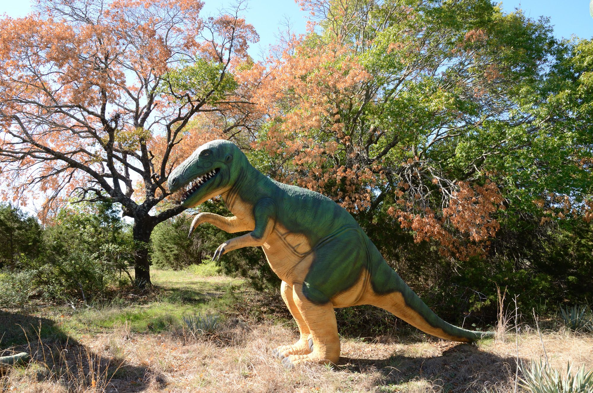 Dinosaur Valley State Park