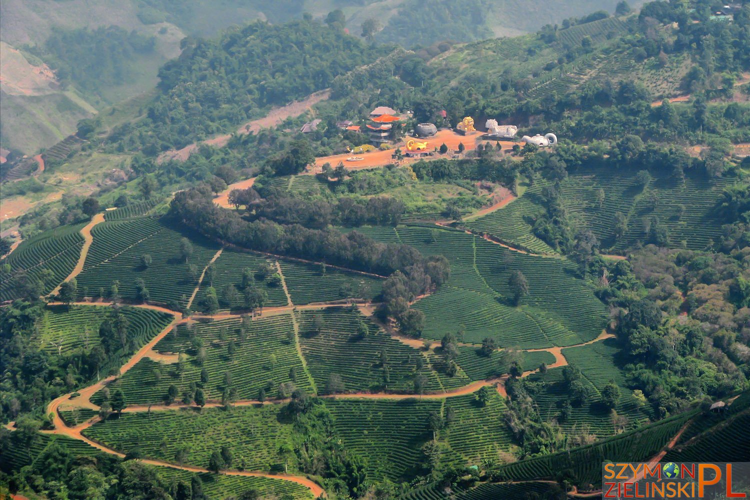 Doi Mae Salong