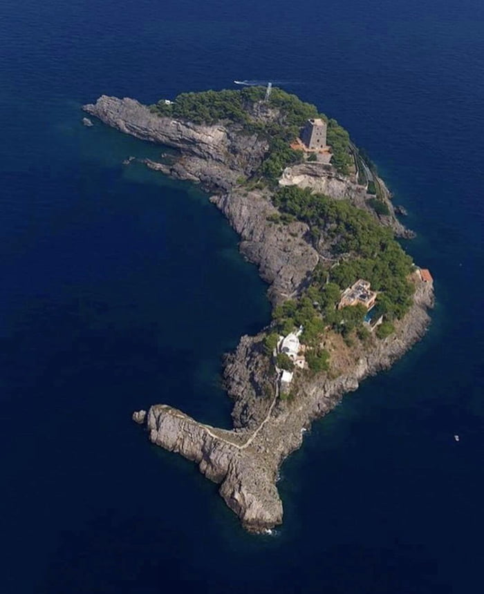 Dolphin Island