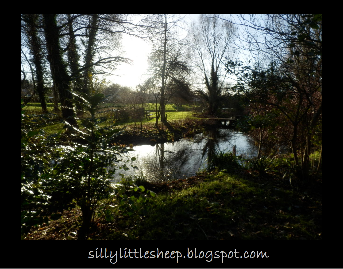Outdoor Pictures 1