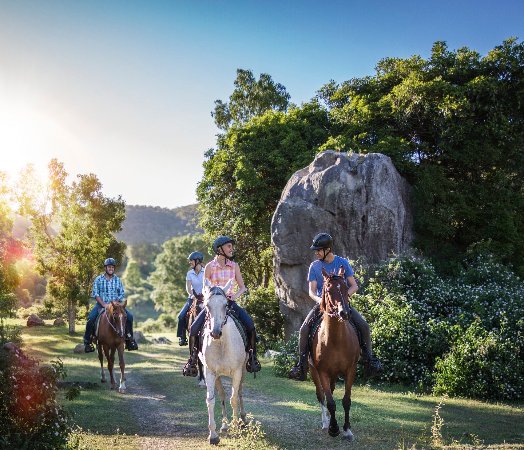 Fordsdale horseback Adventures