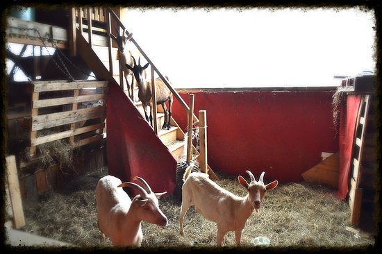 Ferme Vagabonde des Fendaillous