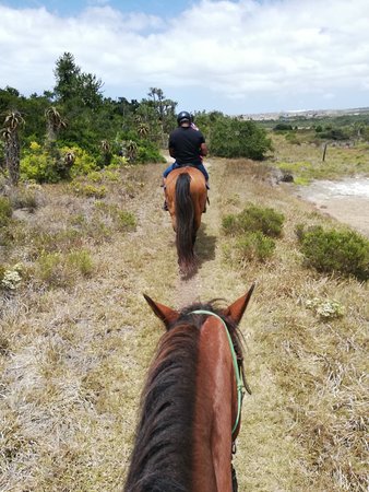 Featherfoot Beach Horse Trails & Riding School