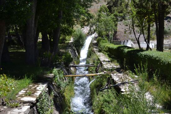 Centro de Ecologia Aplicada del Neuquen