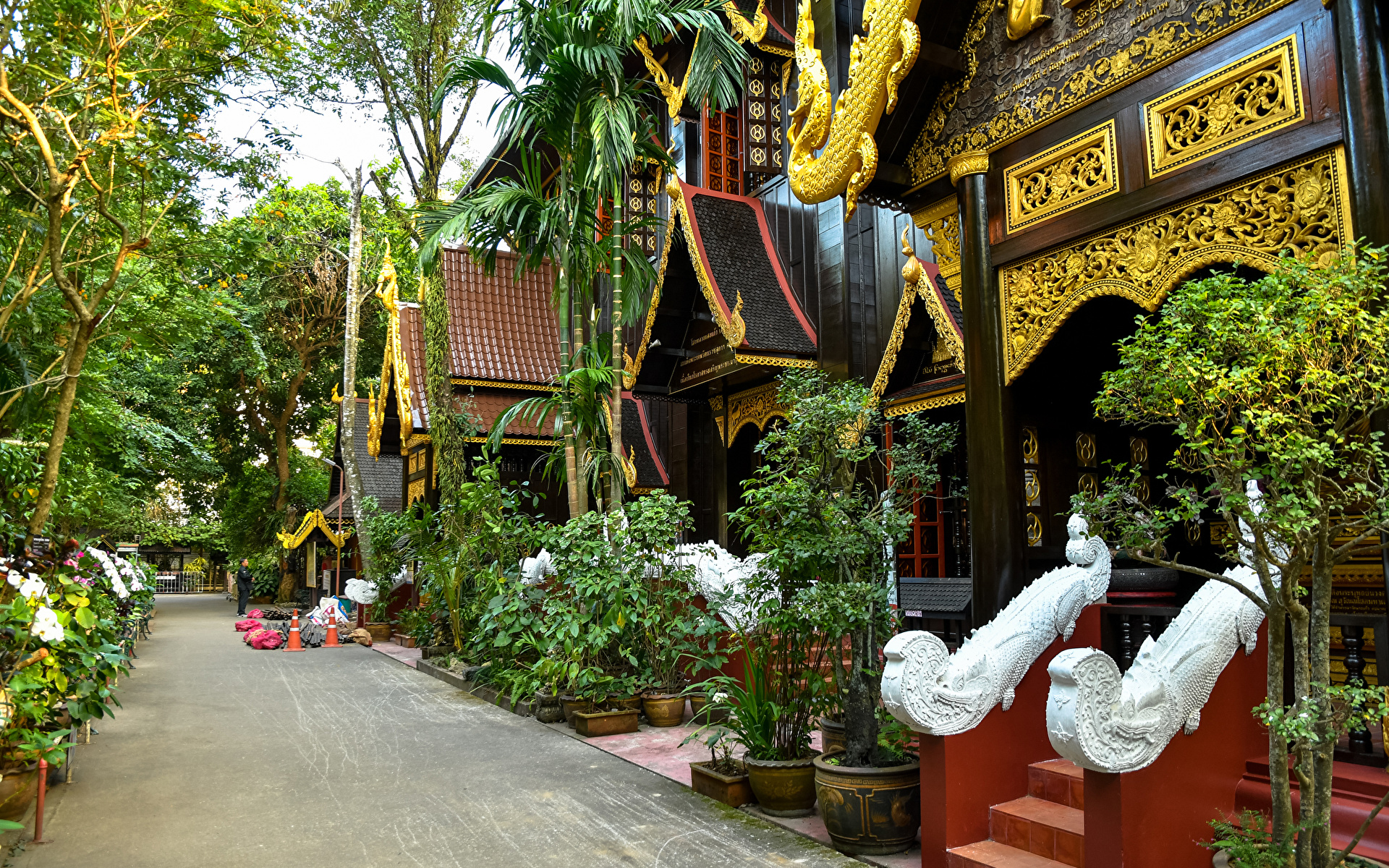 Chiang Rai Yoga House