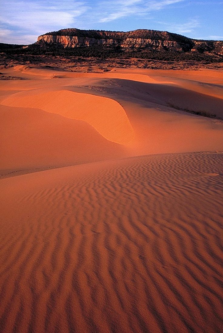 Coral Pink Sand Dunes State Park