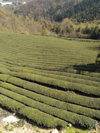 Jingting Mountain