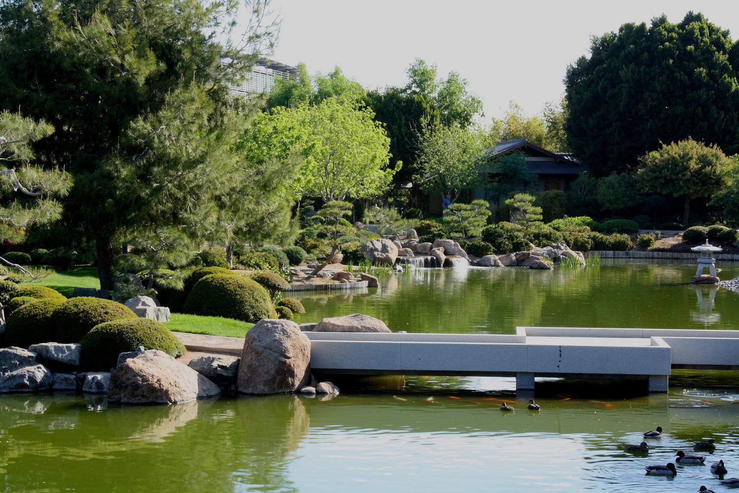 Japanese Friendship Garden of Phoenix