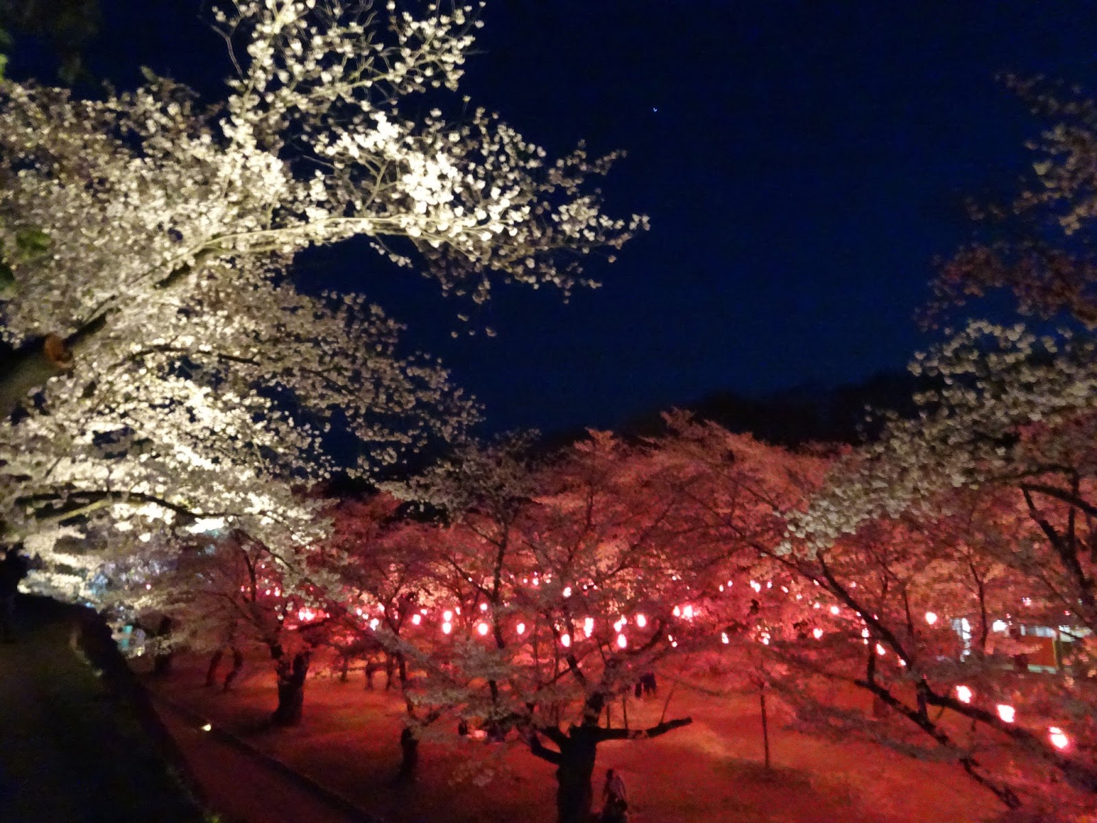 Kaikoen Garden
