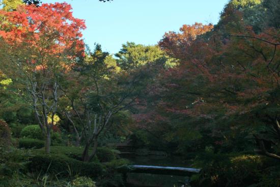 Outdoor Pictures 1