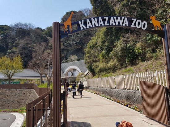 Kanazawa Zoo