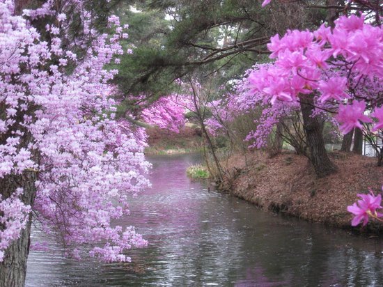 Kiriishi Park