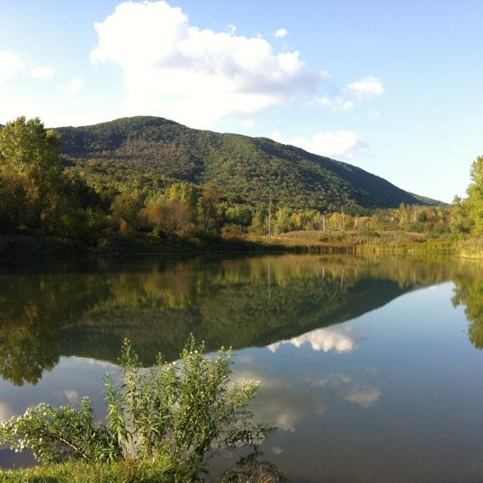 Greylock Glen