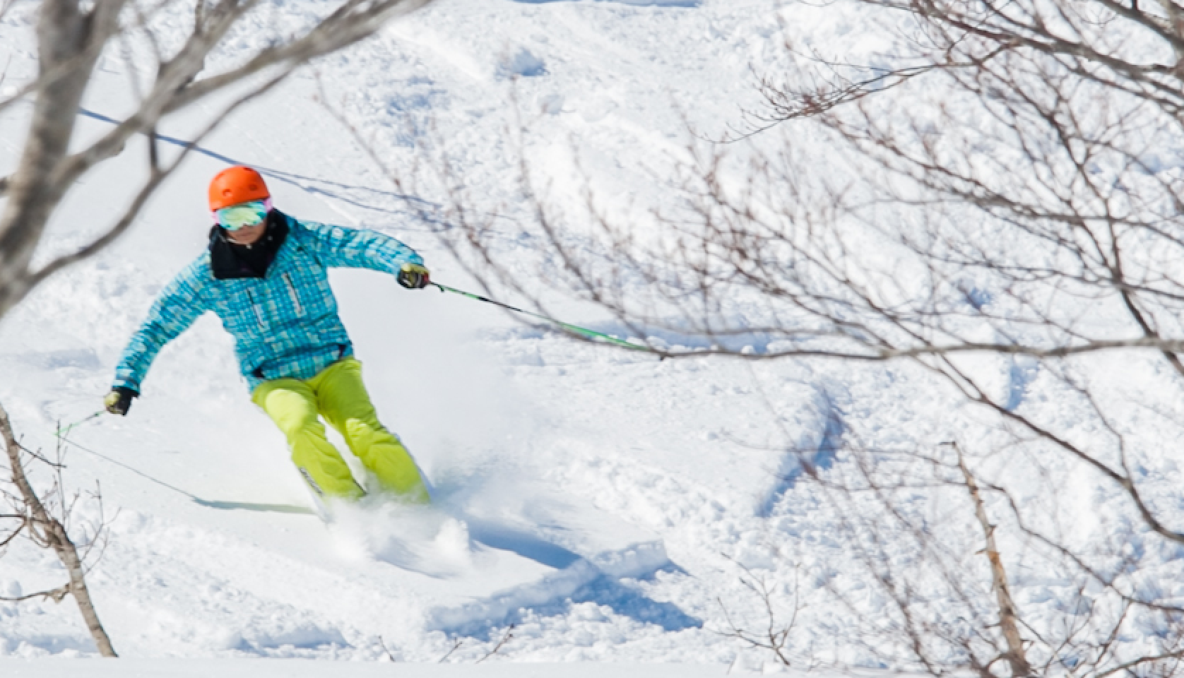 Hakuba Snow Dragon Ski & Snowboard School