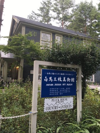 Hakuba Saegusa Art Museum