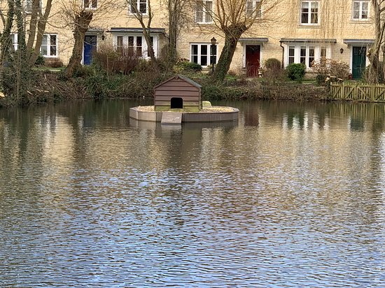 Moreton In Marsh Duck Pond