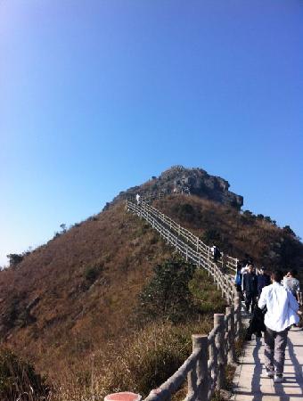 Mt. Yinping Forest Park