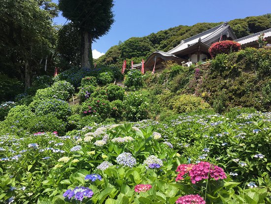 Mt. Sugitake Fudoson Daishoji Temple