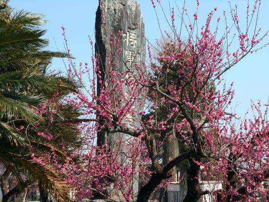 Moyanoijin Shrine