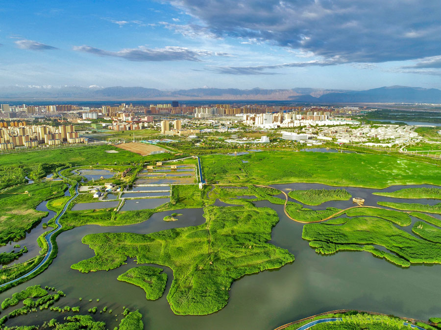 National Wetland Park