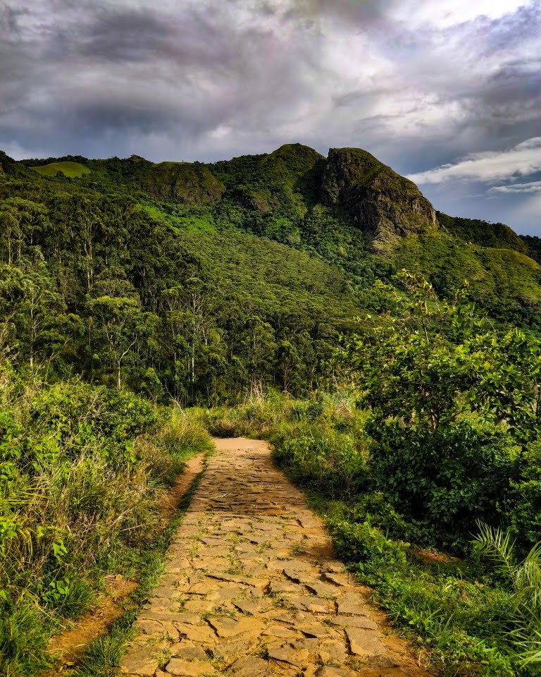Needle Rock View Point