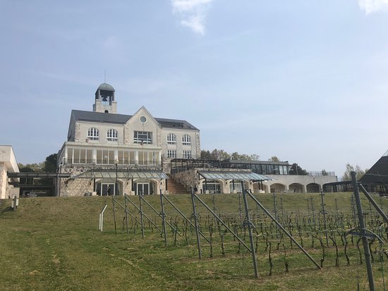 Nakaizu Winery Chateau T. S