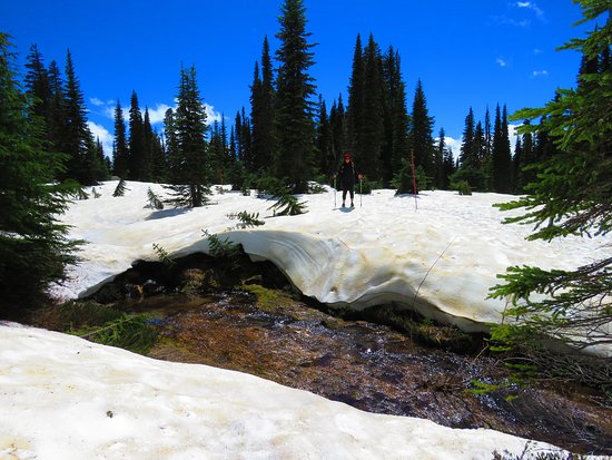 Nisqually Vista Loop