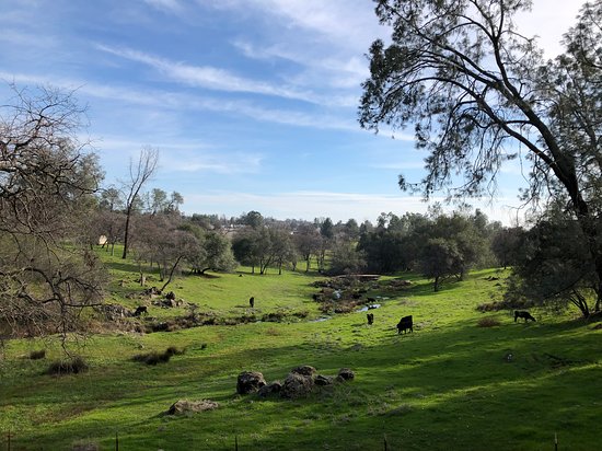 Long Creek Winery & Ranch