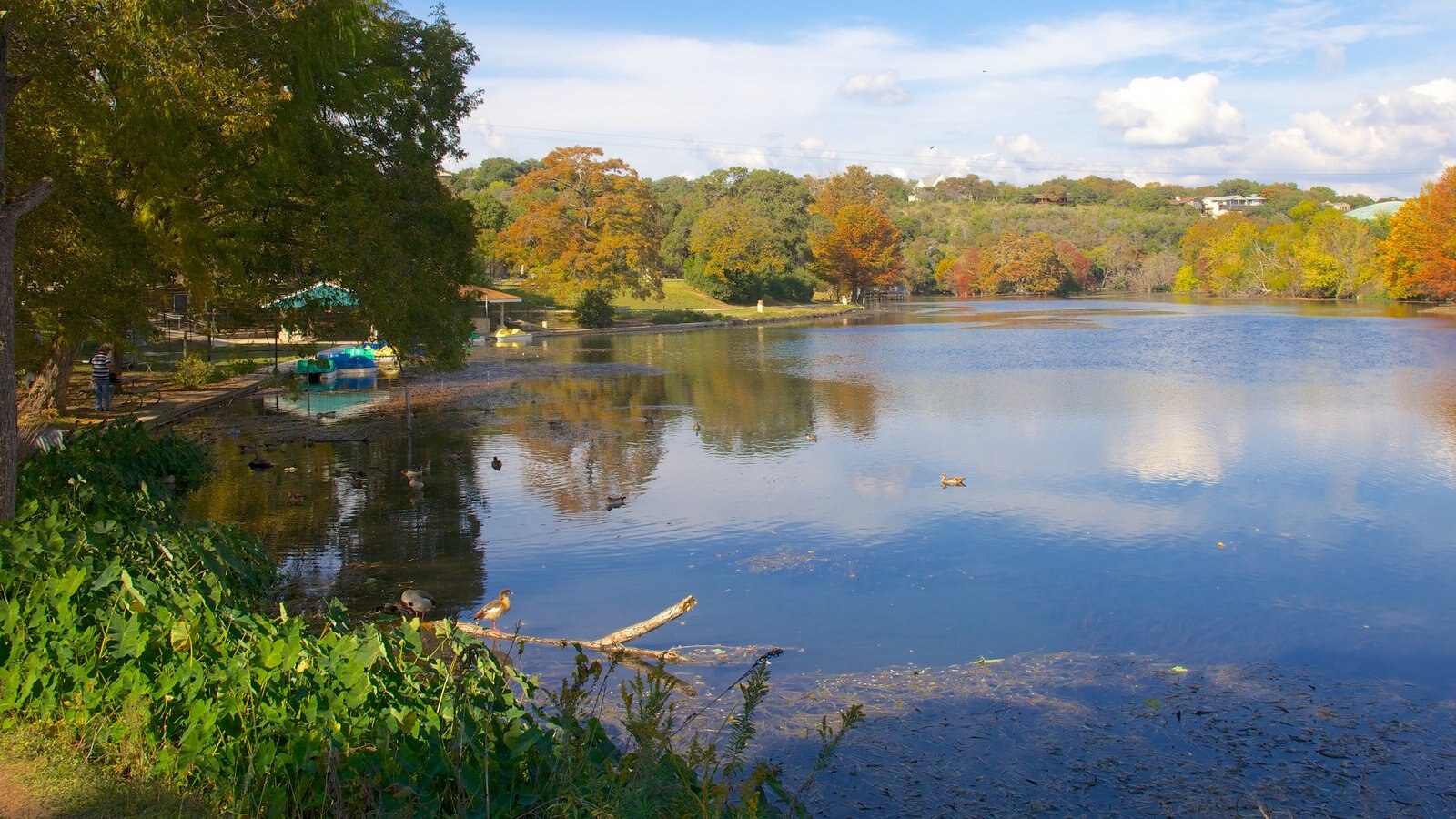 Landa Park