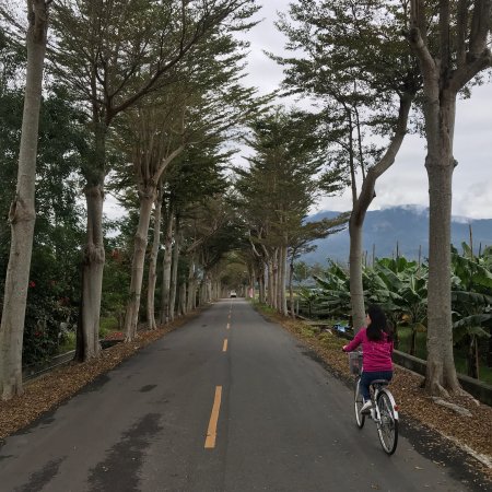Luye Longtian Bikeway District