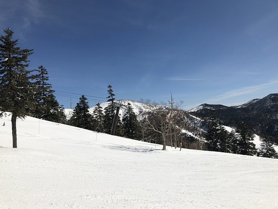 Manza Onsen Ski Place