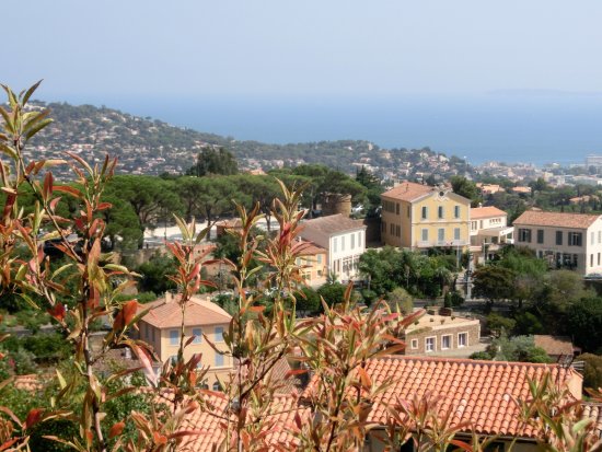 Marché sur Bormes les Mimosas