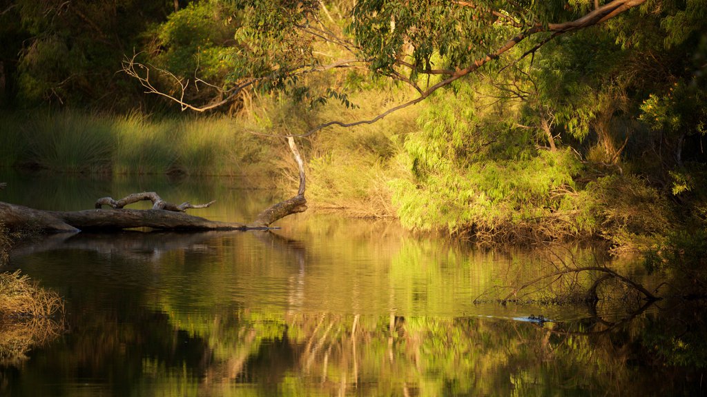 Margaret River Gallery