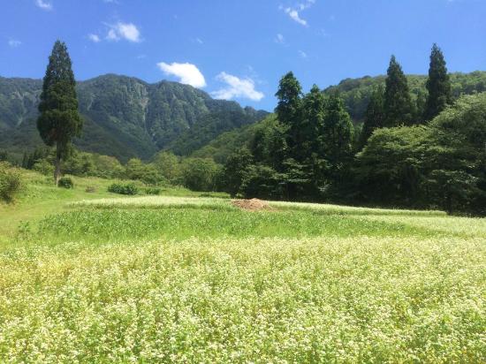 Maki Village