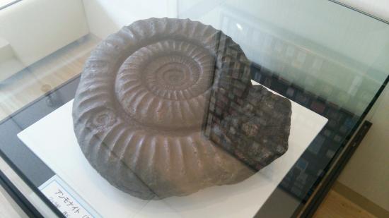 Manazuru Shell Museum