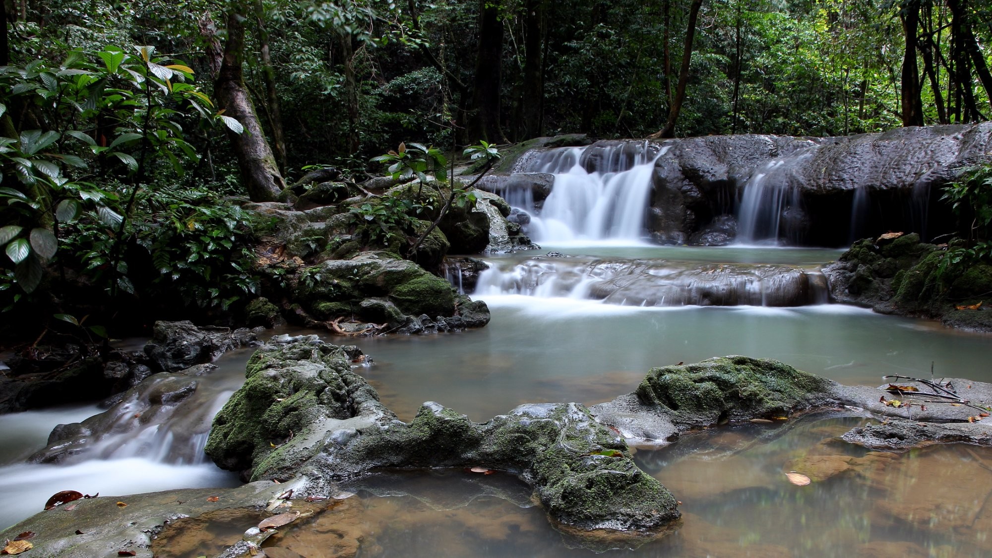 Sa Nang Manora Forest Park