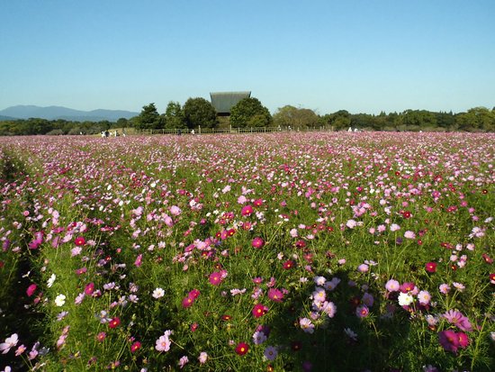 Saitobaru Park