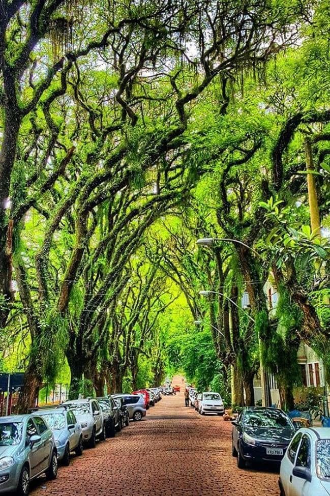 Rua Goncalo de Carvalho
