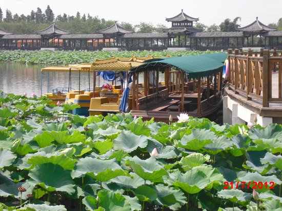 Sanshui Lotus World