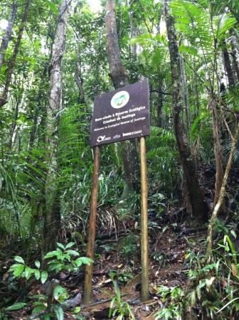 Reserva Ecológica da Juatinga