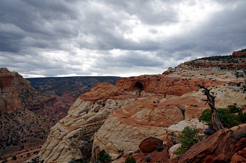 Round Butte Overlook Park