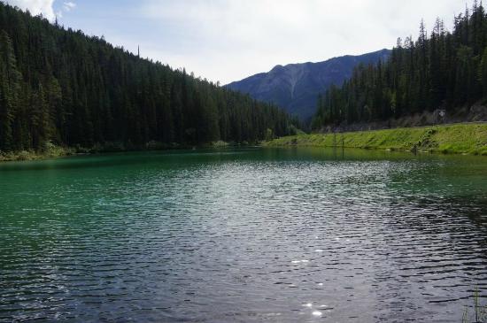 Olive Lake