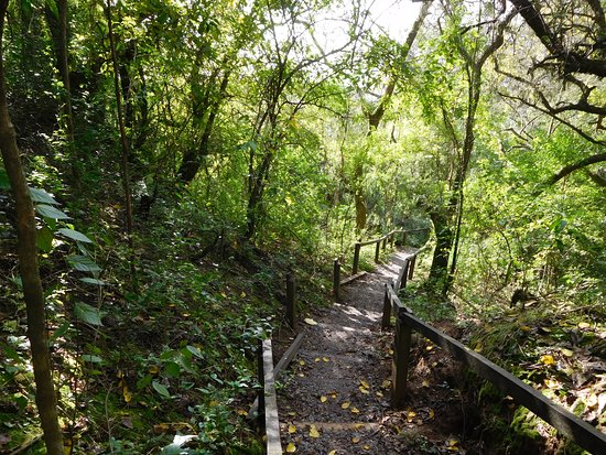 Parque Nacional Ciervo de los Pantanos